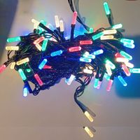 100 LED String Light